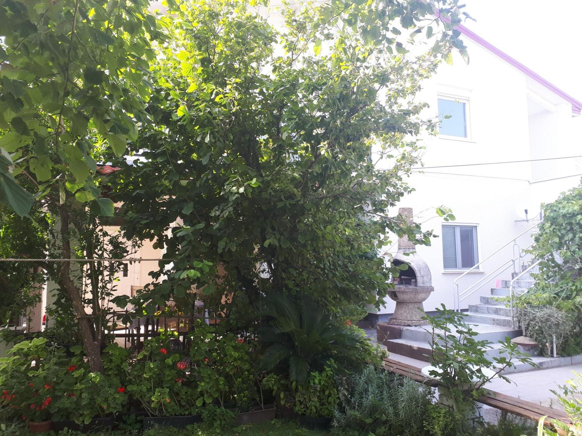 Apartmani Tinka Starigrad Paklenica Exteriér fotografie
